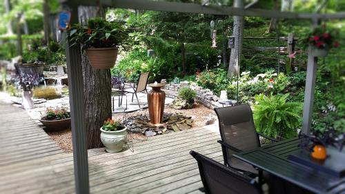 Forest Hill Bed And Breakfast Kitchener Esterno foto