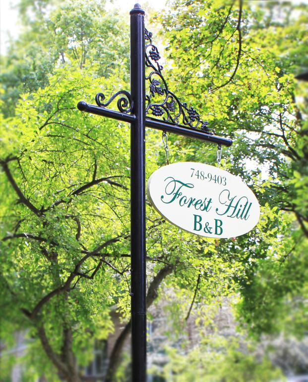 Forest Hill Bed And Breakfast Kitchener Esterno foto