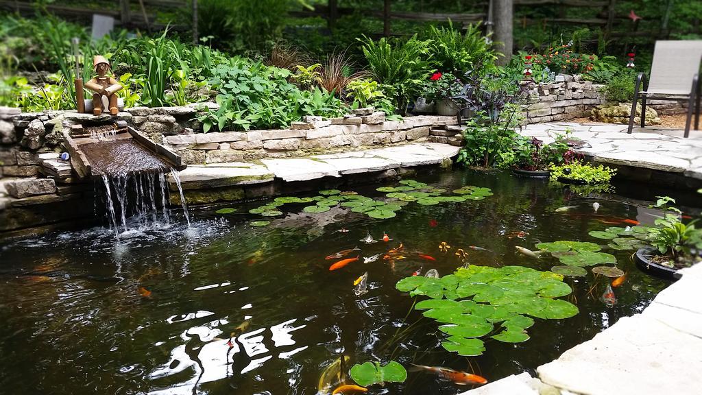 Forest Hill Bed And Breakfast Kitchener Esterno foto